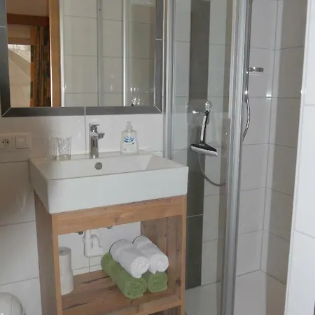 Haus Dilitz-theiner - Bachbluete * Nauders