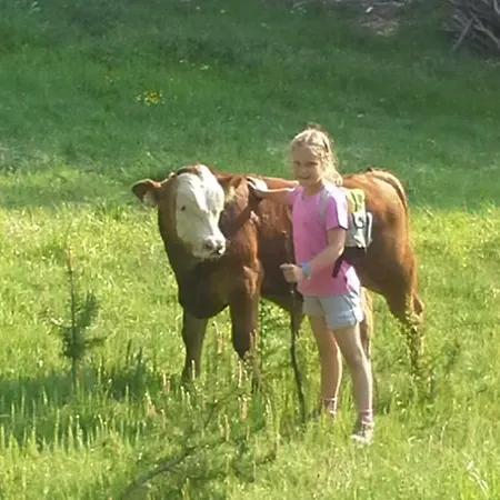 Haus Dilitz-theiner - Bachbluete * Nauders