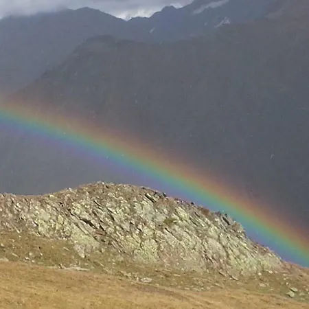 Apartman Haus Dilitz-theiner - Bachbluete