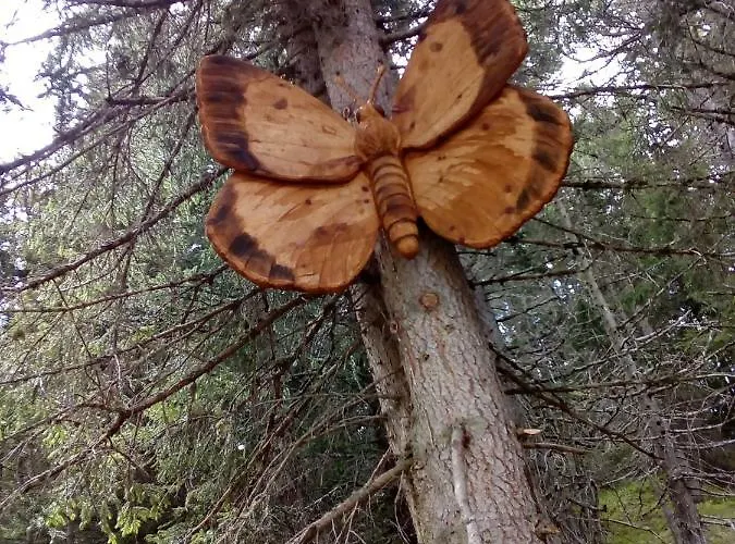 Appartement Haus Dilitz-theiner - Bachbluete Nauders