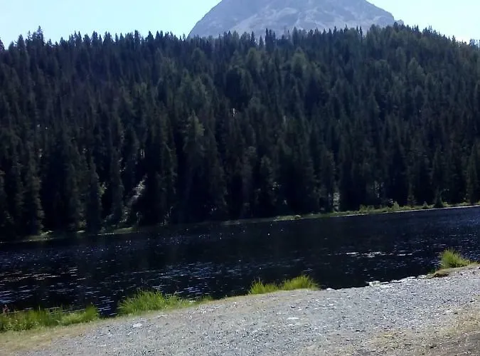 公寓 Haus Dilitz-theiner - Bachbluete *