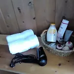 شقة Haus Dilitz-theiner - Bachbluete *
