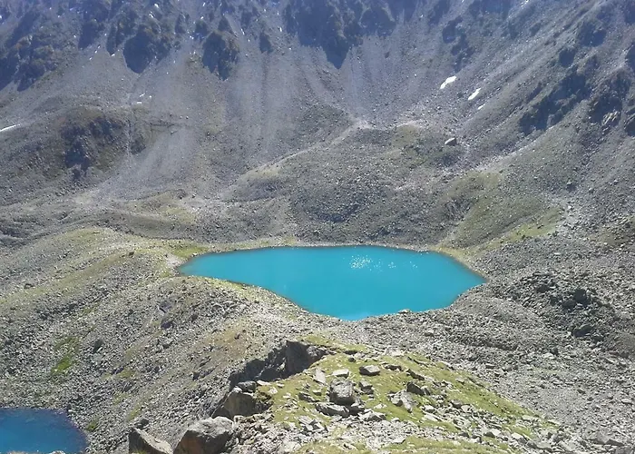 Haus Dilitz-theiner - Bachbluete * Nauders